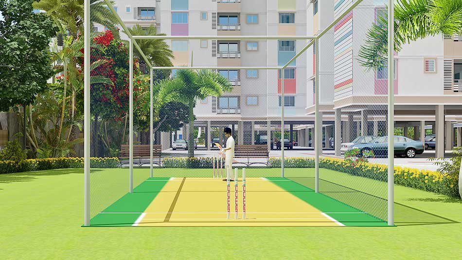 Cricket pitch